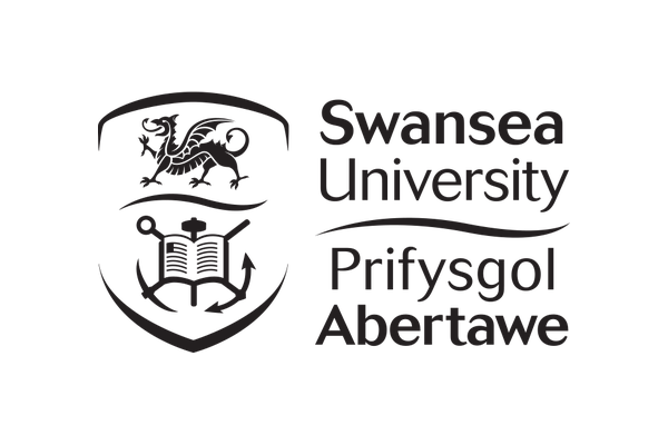 Swansea University