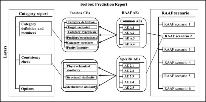 The implementation of RAAF in the OECD QSAR Toolbox